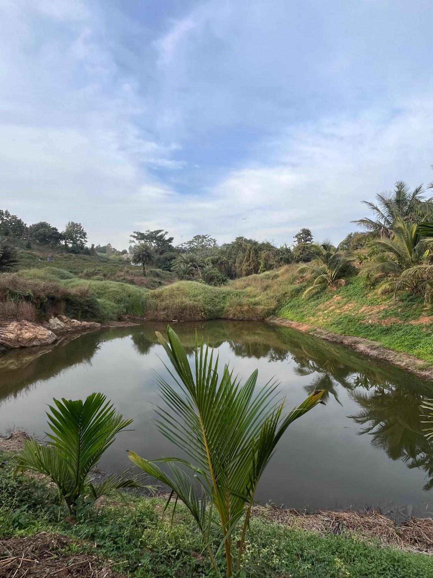 Gandhadagudi Nature Retreat Bangalore Exterior foto